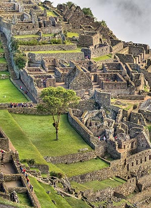 Machu Picchu